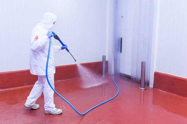 Professional Pressure Washing Services in Whitesboro, TX